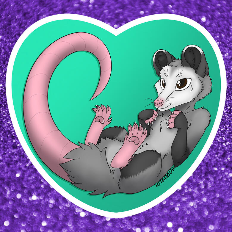 Opossum Heart