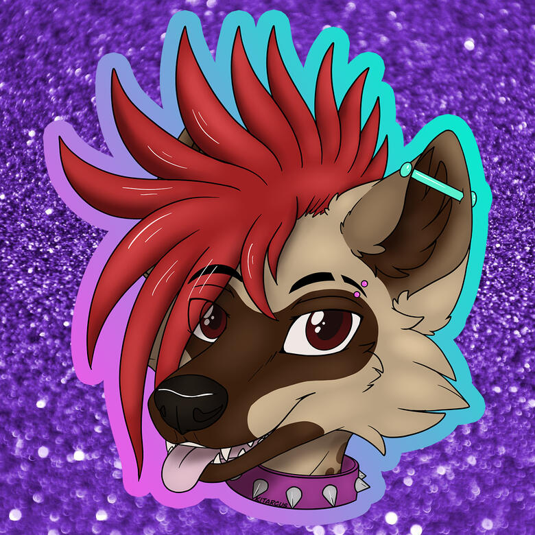 Shay Headshot